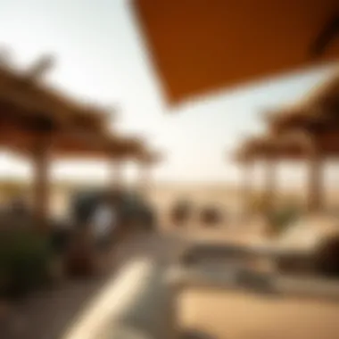Notable Exploring the Safari Experience in Al Ain: An In-Depth Overview Notable Exploring the Safari Experience in Al Ain: An In-Depth Overview