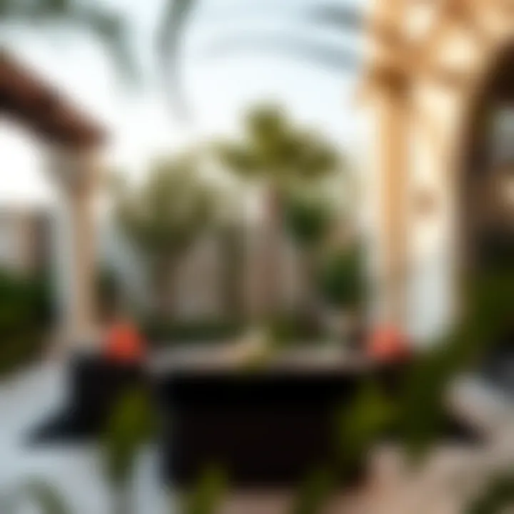 Tranquil Outdoor Space in a Villa Serene garden area of a villa in Rashidiya