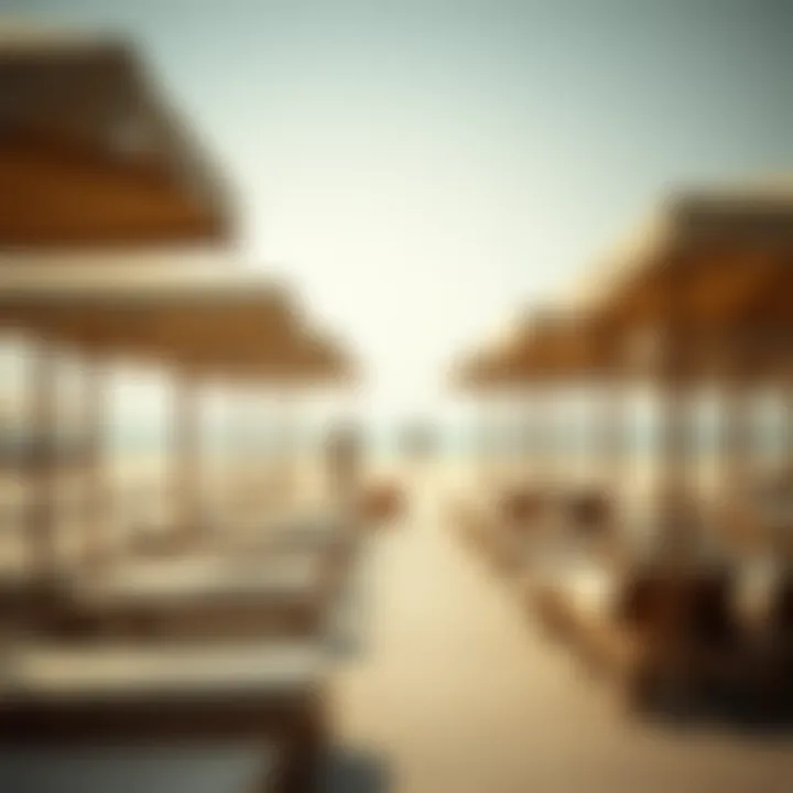Seasonal overview of sunbed pricing trends at JBR