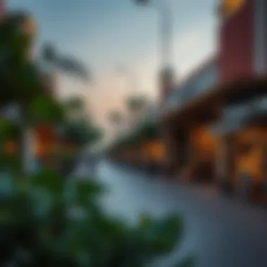 Local Amenities in Jumeirah Village Circle Local amenities in Jumeirah Village Circle featuring cafes and shops