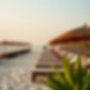 Luxurious sun loungers and umbrellas lined up along the beach.