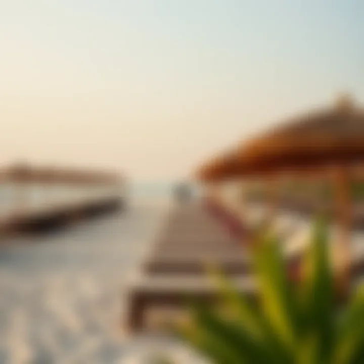 Luxurious sun loungers and umbrellas lined up along the beach.
