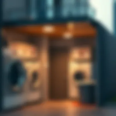 Laundry Services in Dubai: A Comprehensive Overview Summary Laundry Services in Dubai: A Comprehensive Overview Summary