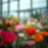 Navigating the Floral Landscape: Acquiring Flowers in Dubai Introduction