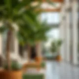 Optimal Residential Locations in Dubai for Families Introduction