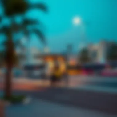 A scenic view of a bus stop along Route 21 in Dubai