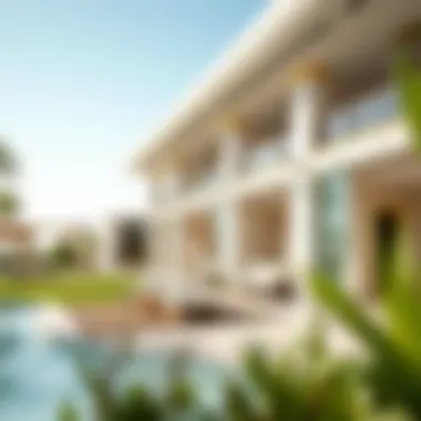 The Comprehensive Overview of Services at Dubai Ladies Club Summary The Comprehensive Overview of Services at Dubai Ladies Club Summary