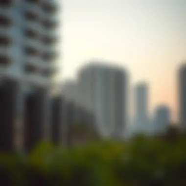 Understanding Broker Cards in the Dubai Real Estate Market Summary