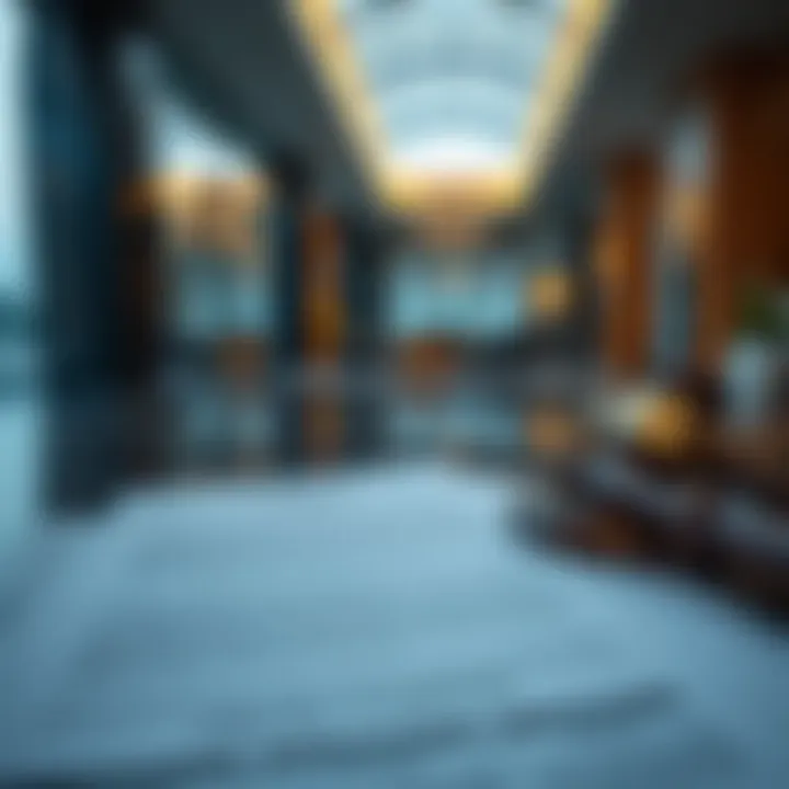 Navigating Legal Frameworks Legal documents related to visa cancellation