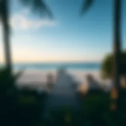 Understanding Mangrove Beach Entry Fees: An In-Depth Overview Introduction