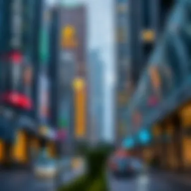 Notable Urban Management: A Comprehensive Analysis