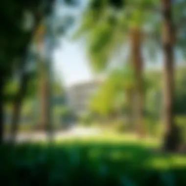 Lush green parks and recreational areas in Vida Dubai